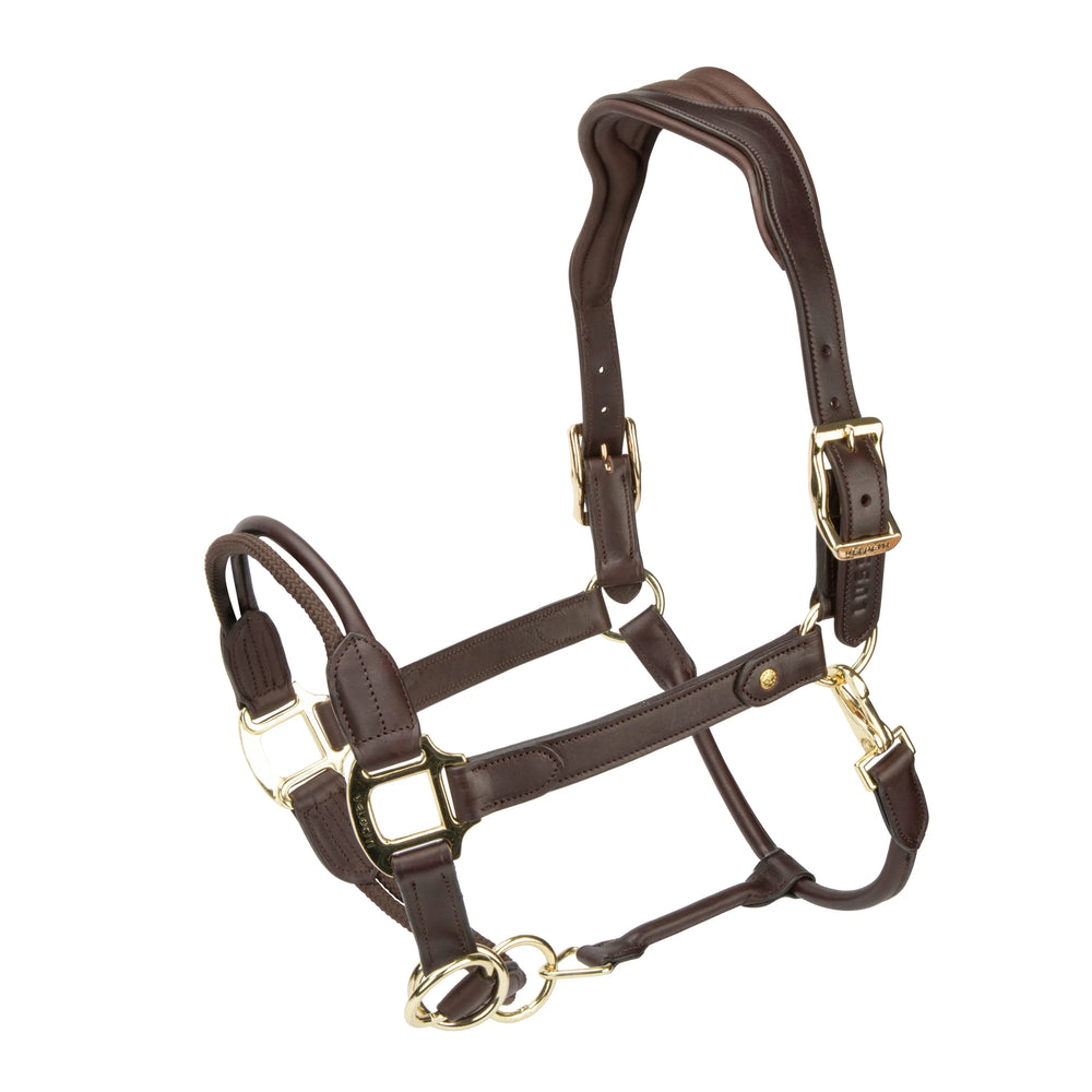 Velociti Lusso Soria Control Halter - Equine Exchange Tack Shop