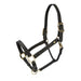 Velociti Lusso Girona Leather Halter - Equine Exchange Tack Shop