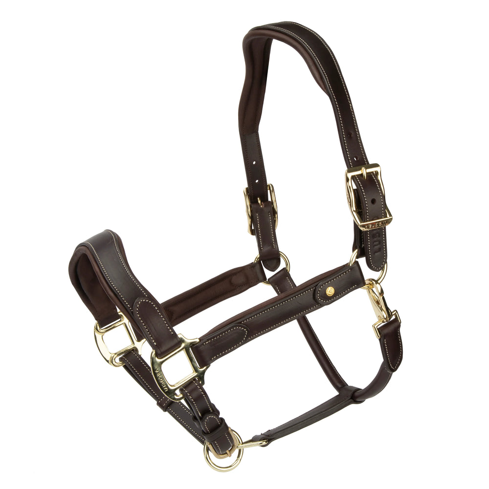 Velociti Lusso Lorca Leather Halter - Equine Exchange Tack Shop