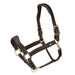 Velociti Lusso Lorca Leather Halter - Equine Exchange Tack Shop