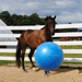 Jolly Mega Ball - Equine Exchange Tack Shop