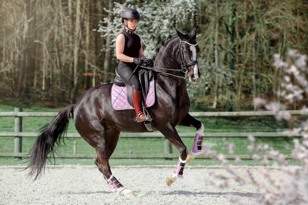 Lavender Saddle Pad Set
