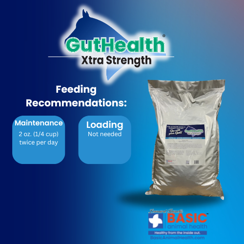 GutHealth Xtra Strength Pellets Supplement for Horses - Equine Exchange Tack Shop