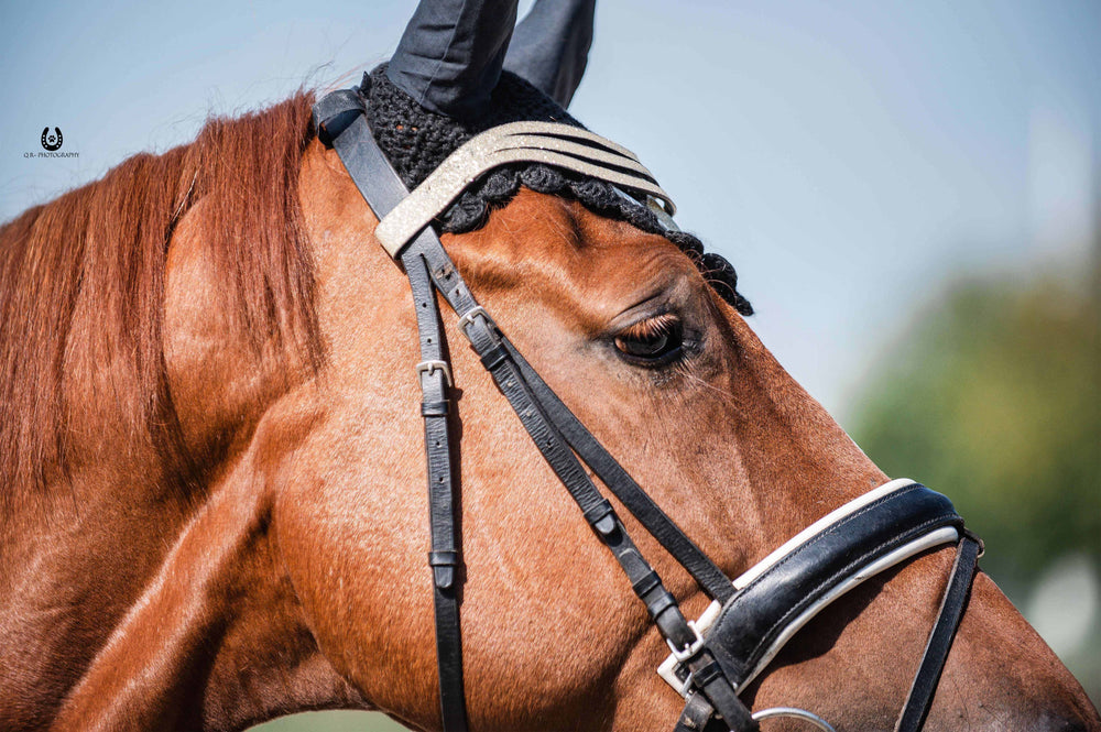 Champagne Fly Hat - Equine Exchange Tack Shop