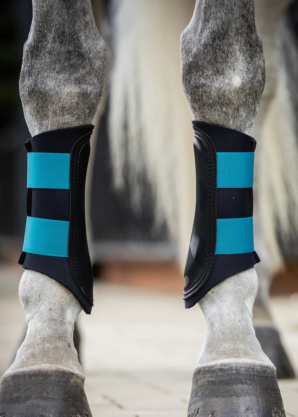 Woof Wear Sport Brushing Boots - Equine Exchange Tack Shop