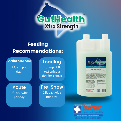 GutHealth Xtra Strength Liquid Supplement for Horses - Equine Exchange Tack Shop