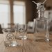 Longhorn Decanter Set with Pair of Glasses  