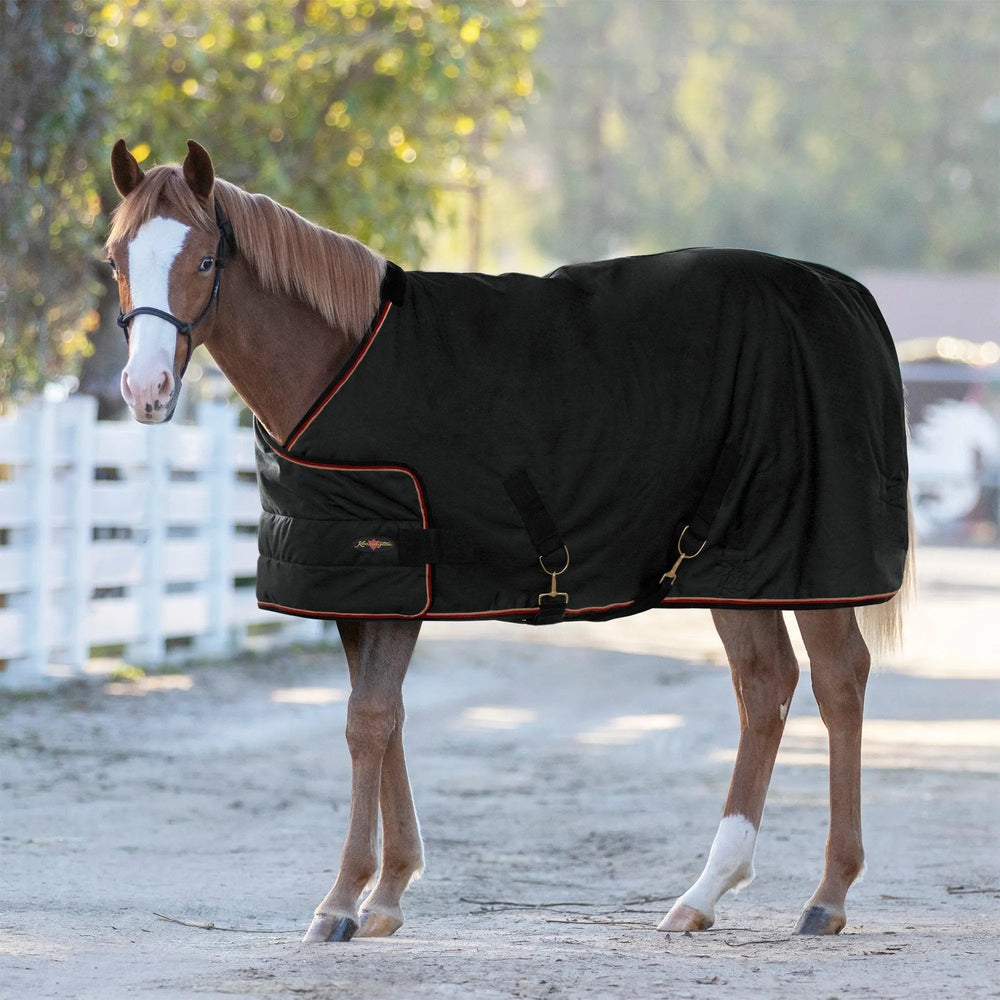1200D 180G Medium Weight Waterproof & Breathable Adjustable Yearling Winter Turnout Blanket - Equine Exchange Tack Shop