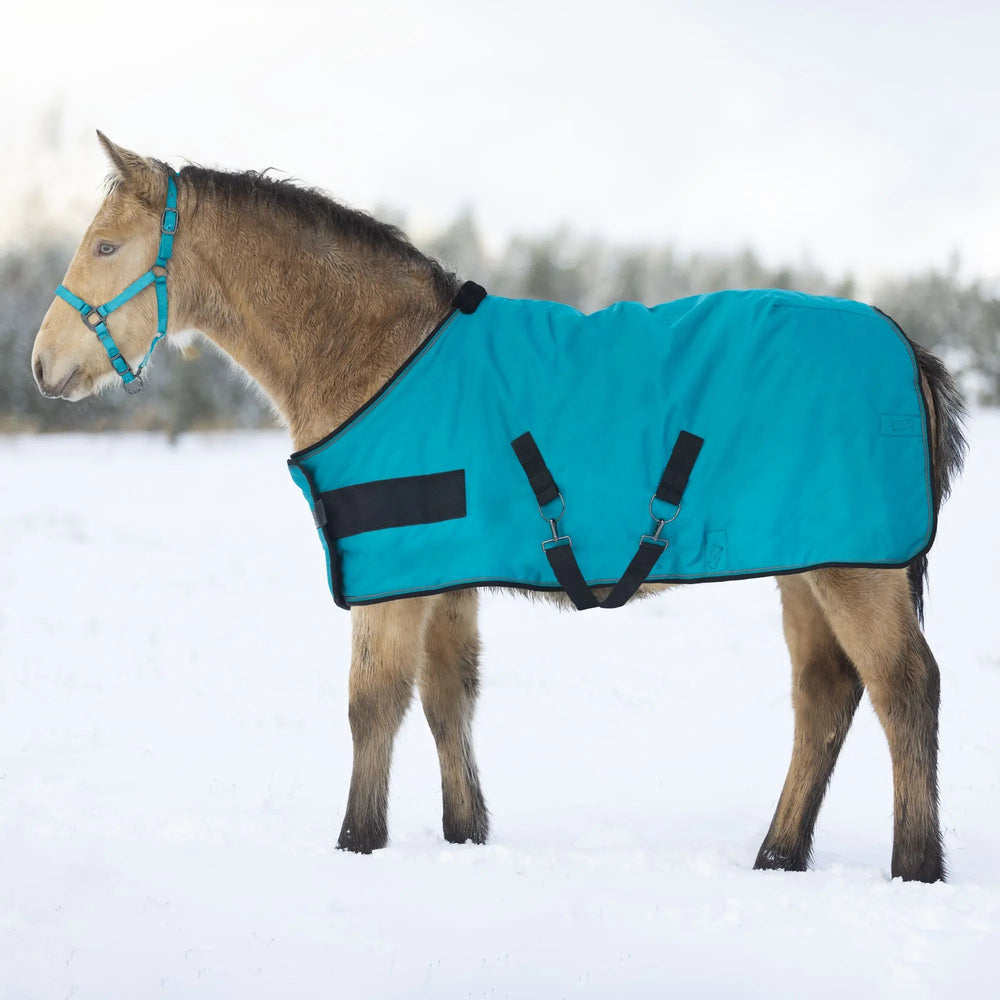 1200D 180G Waterproof Adjustable Weanling Turnout Blanket - Equine Exchange Tack Shop