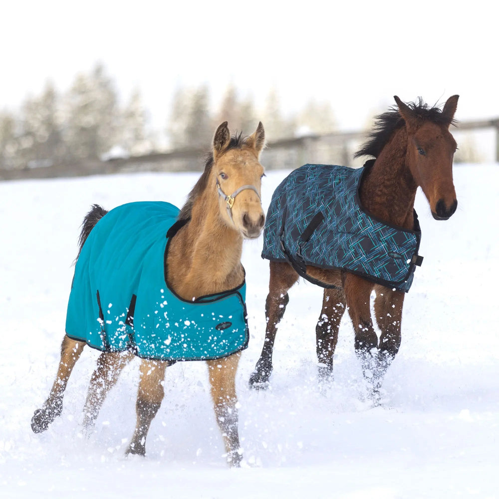 1200D 180G Waterproof Adjustable Weanling Turnout Blanket - Equine Exchange Tack Shop