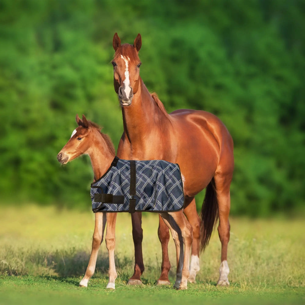 1200D 180G Waterproof & Breathable Adjustable Foal Blanket - Equine Exchange Tack Shop