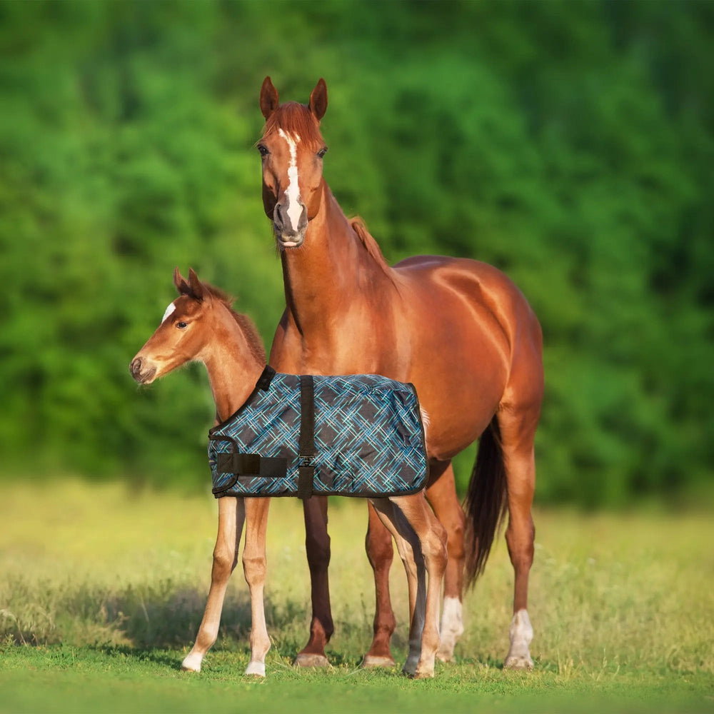 1200D 180G Waterproof & Breathable Adjustable Foal Blanket - Equine Exchange Tack Shop
