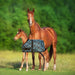 1200D 180G Waterproof & Breathable Adjustable Foal Blanket - Equine Exchange Tack Shop
