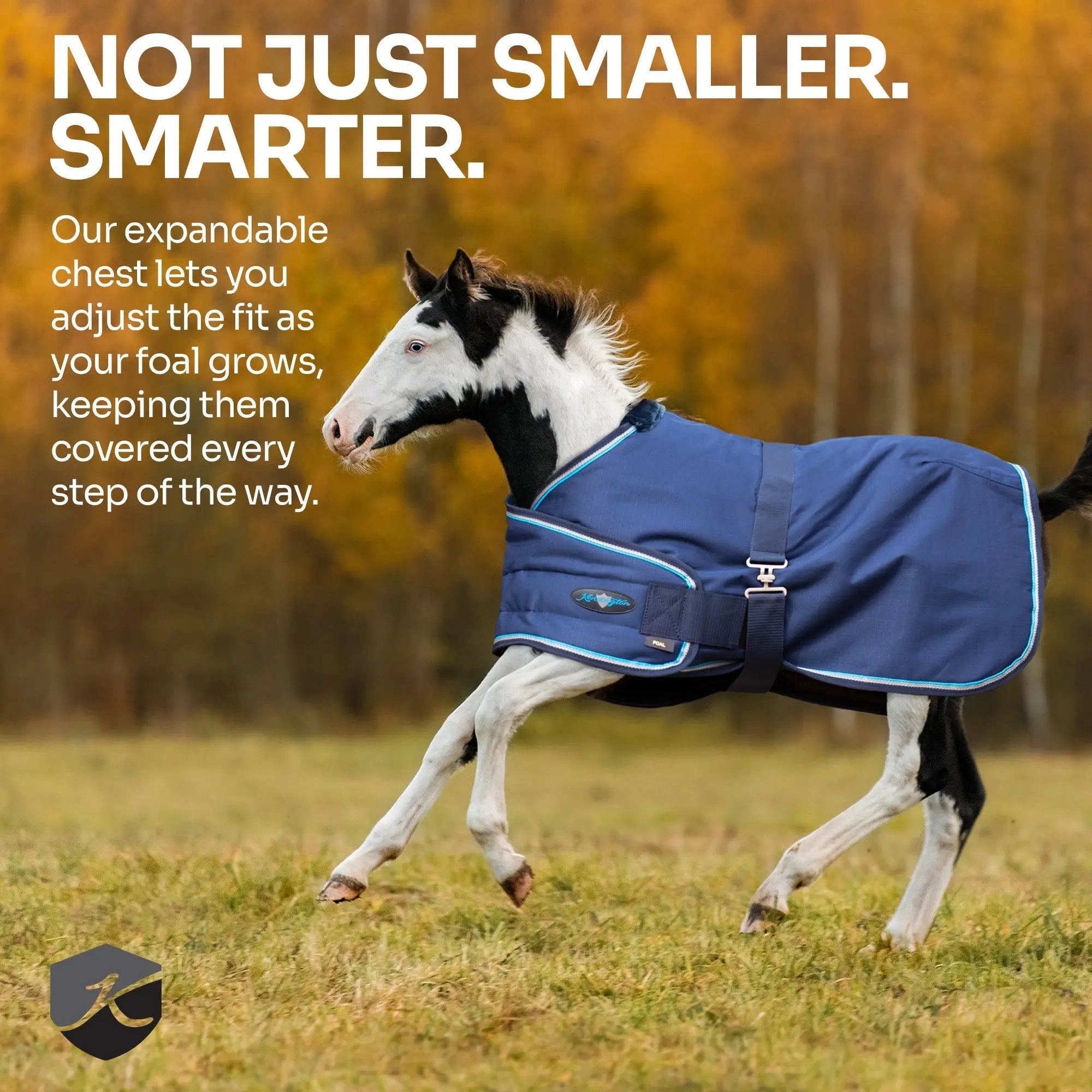 1200D 180G Waterproof & Breathable Adjustable Foal Blanket - Equine Exchange Tack Shop
