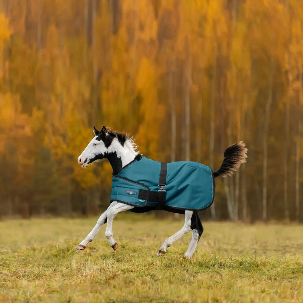 1200D 180G Waterproof & Breathable Adjustable Foal Blanket - Equine Exchange Tack Shop