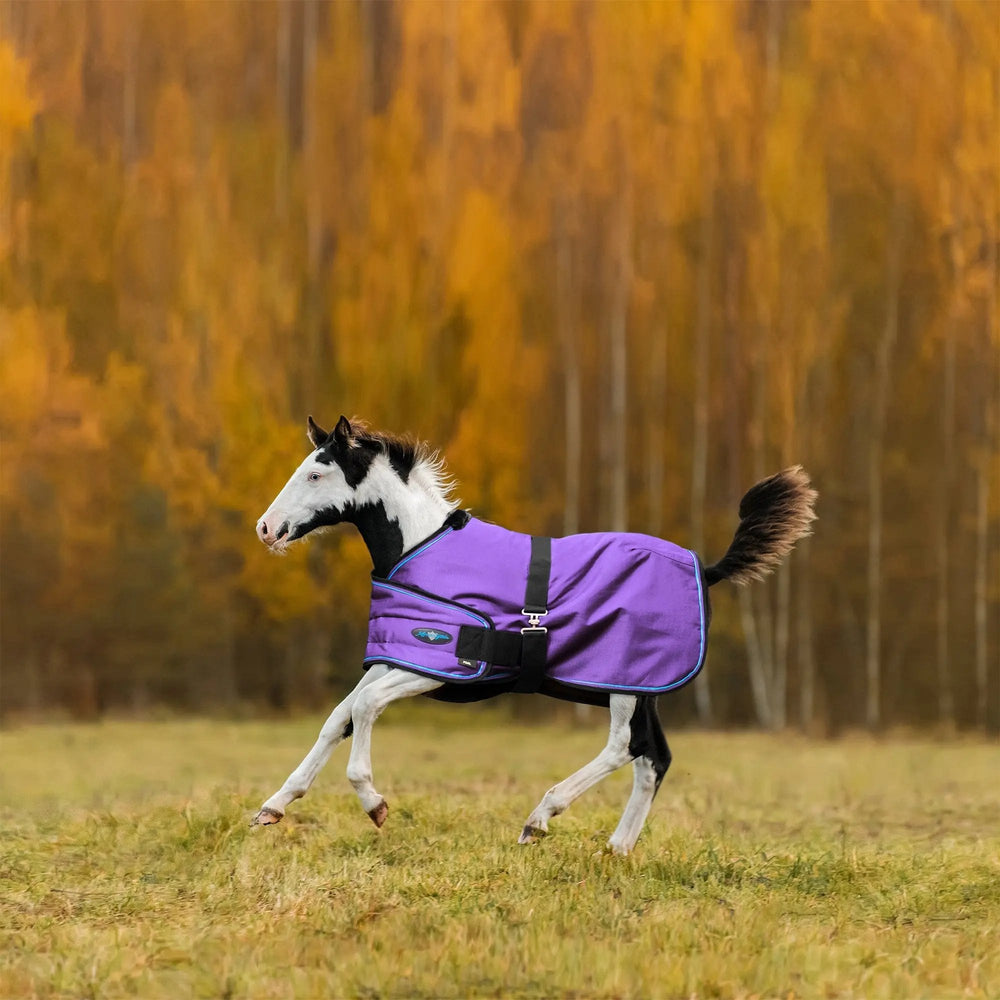 1200D 180G Waterproof & Breathable Adjustable Foal Blanket - Equine Exchange Tack Shop