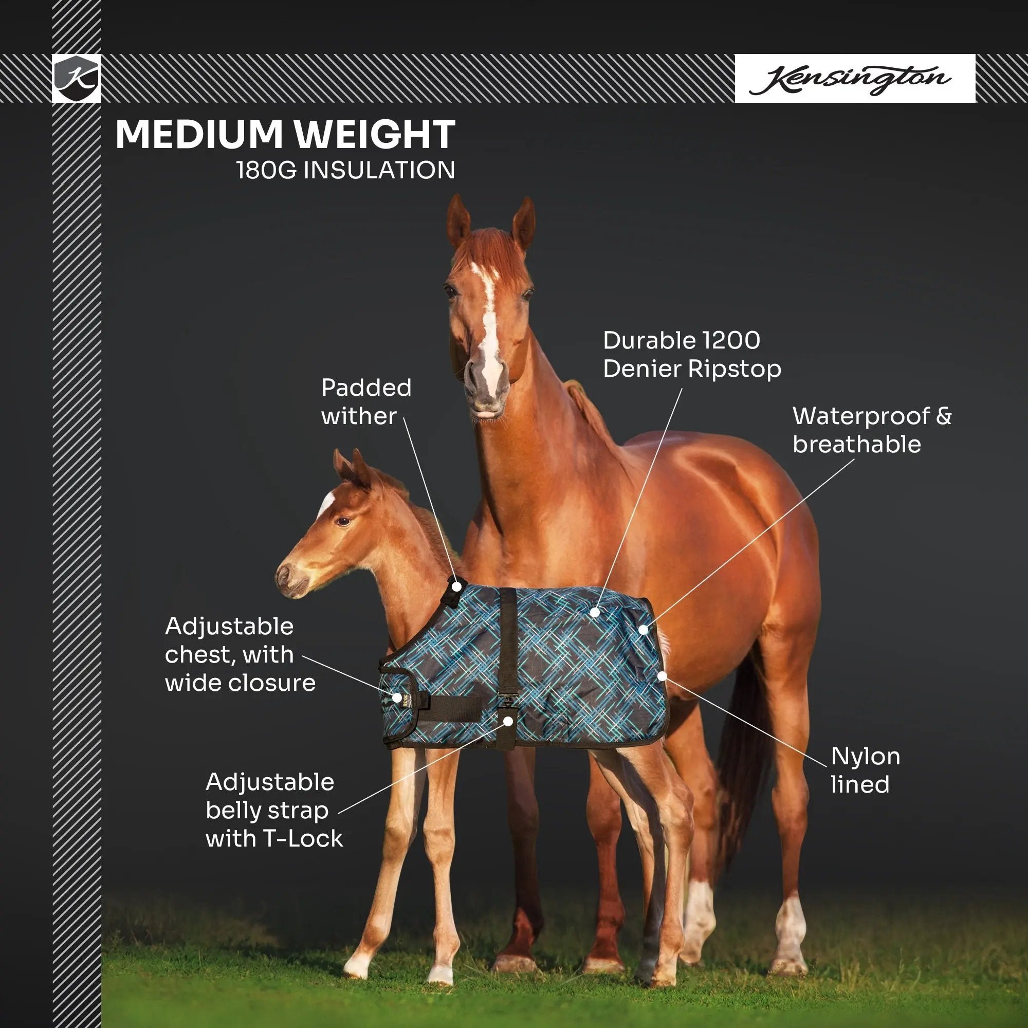 1200D 180G Waterproof & Breathable Adjustable Foal Blanket - Equine Exchange Tack Shop