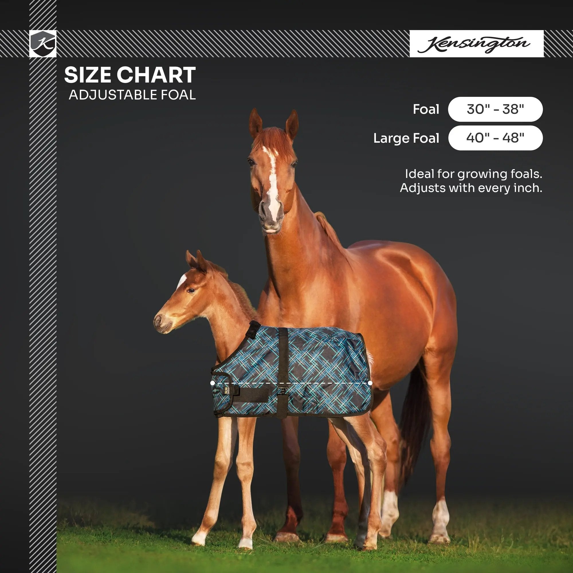 1200D 180G Waterproof & Breathable Adjustable Foal Blanket - Equine Exchange Tack Shop