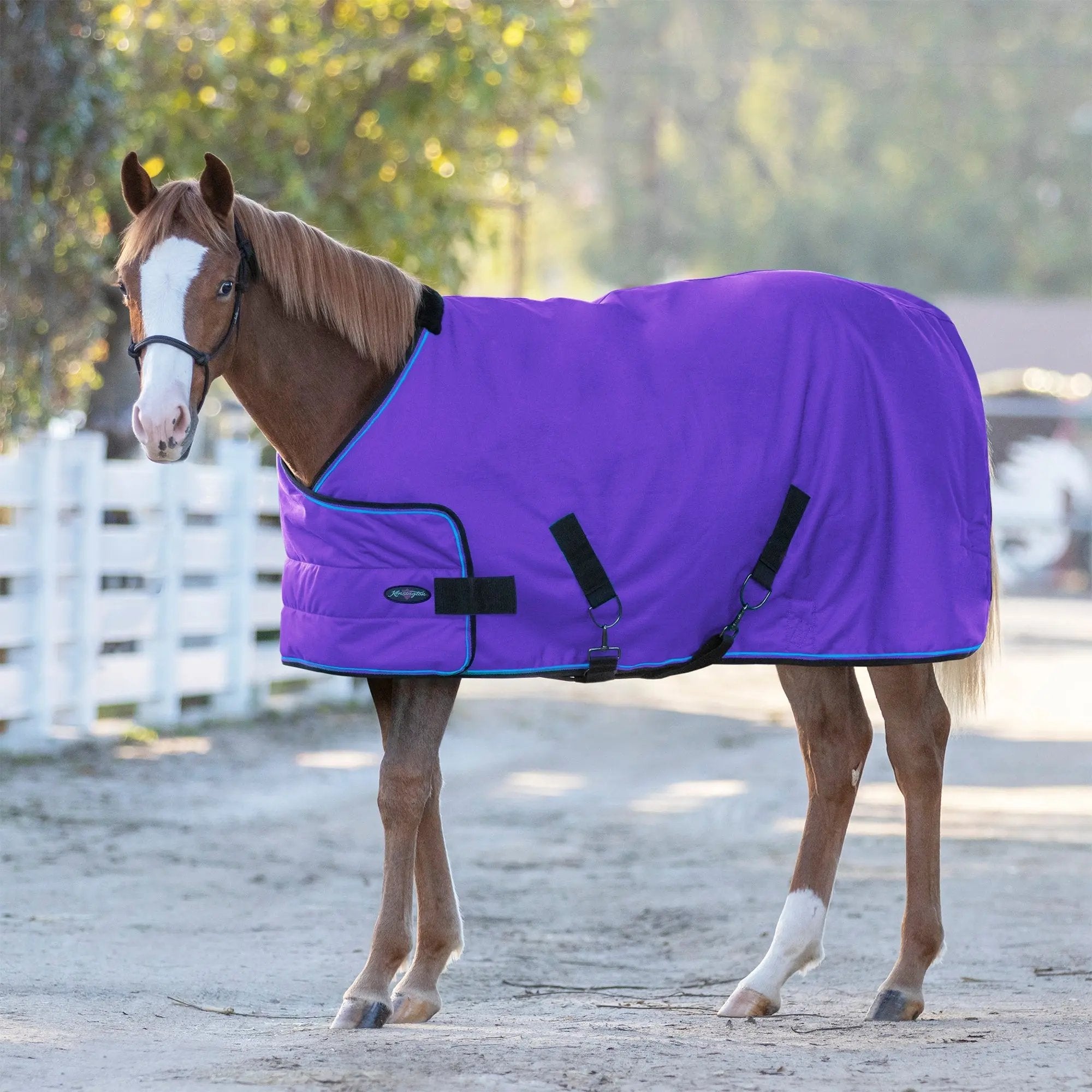 1200D 180G Waterproof Adjustable Weanling Turnout Blanket - Equine Exchange Tack Shop