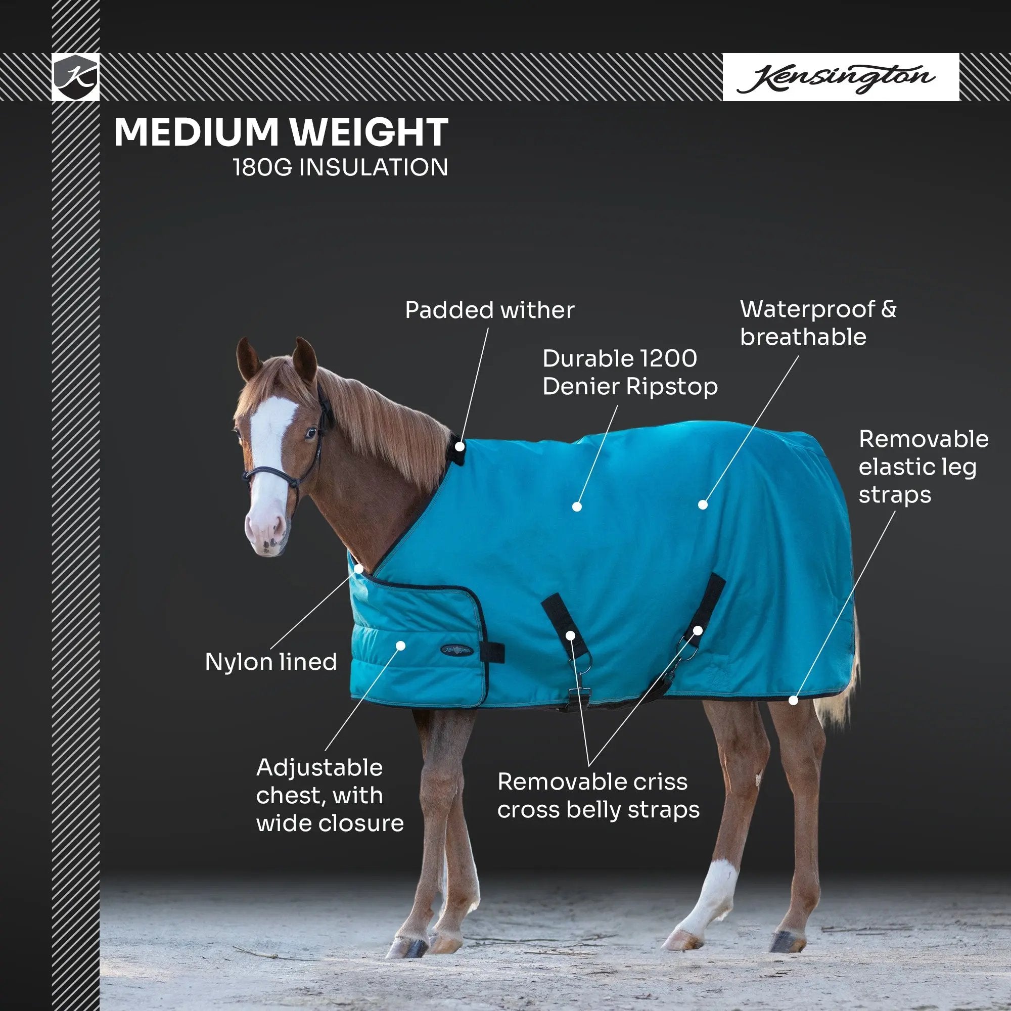 1200D 180G Medium Weight Waterproof & Breathable Adjustable Yearling Winter Turnout Blanket - Equine Exchange Tack Shop