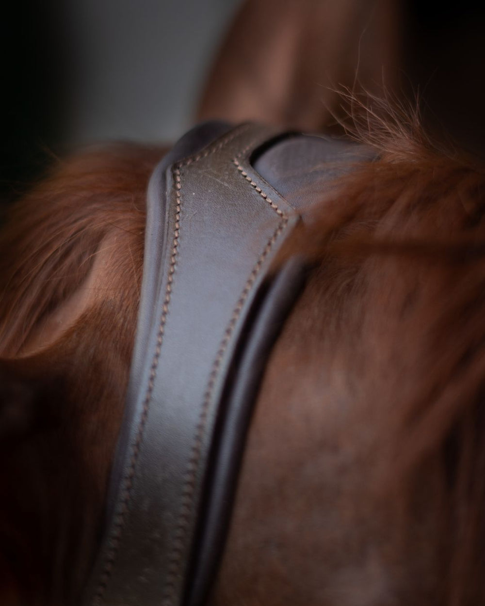 Hidden Flash!  Pro-fit Comfortable Bridle with Patent Noseband and Crystal Browband - Equine Exchange Tack Shop