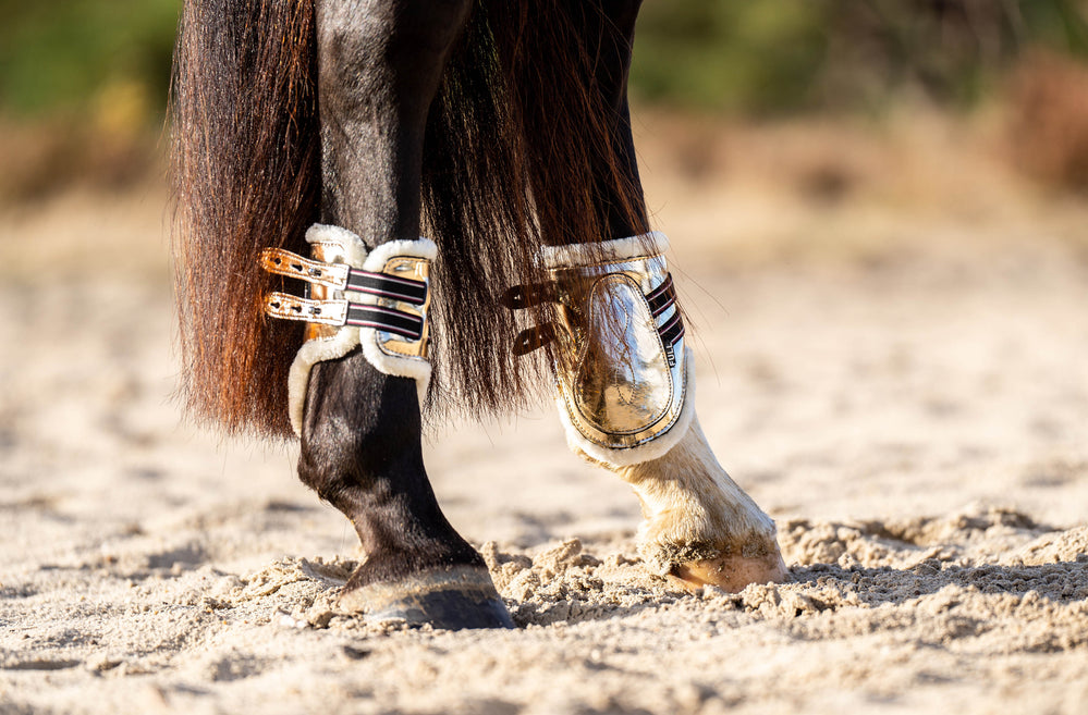 Aurum Open Front Boots - Equine Exchange Tack Shop