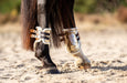 Aurum Open Front Boots - Equine Exchange Tack Shop