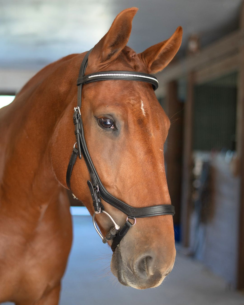 Hidden Flash!  Pro-Fit Comfortable Bridle - Equine Exchange Tack Shop