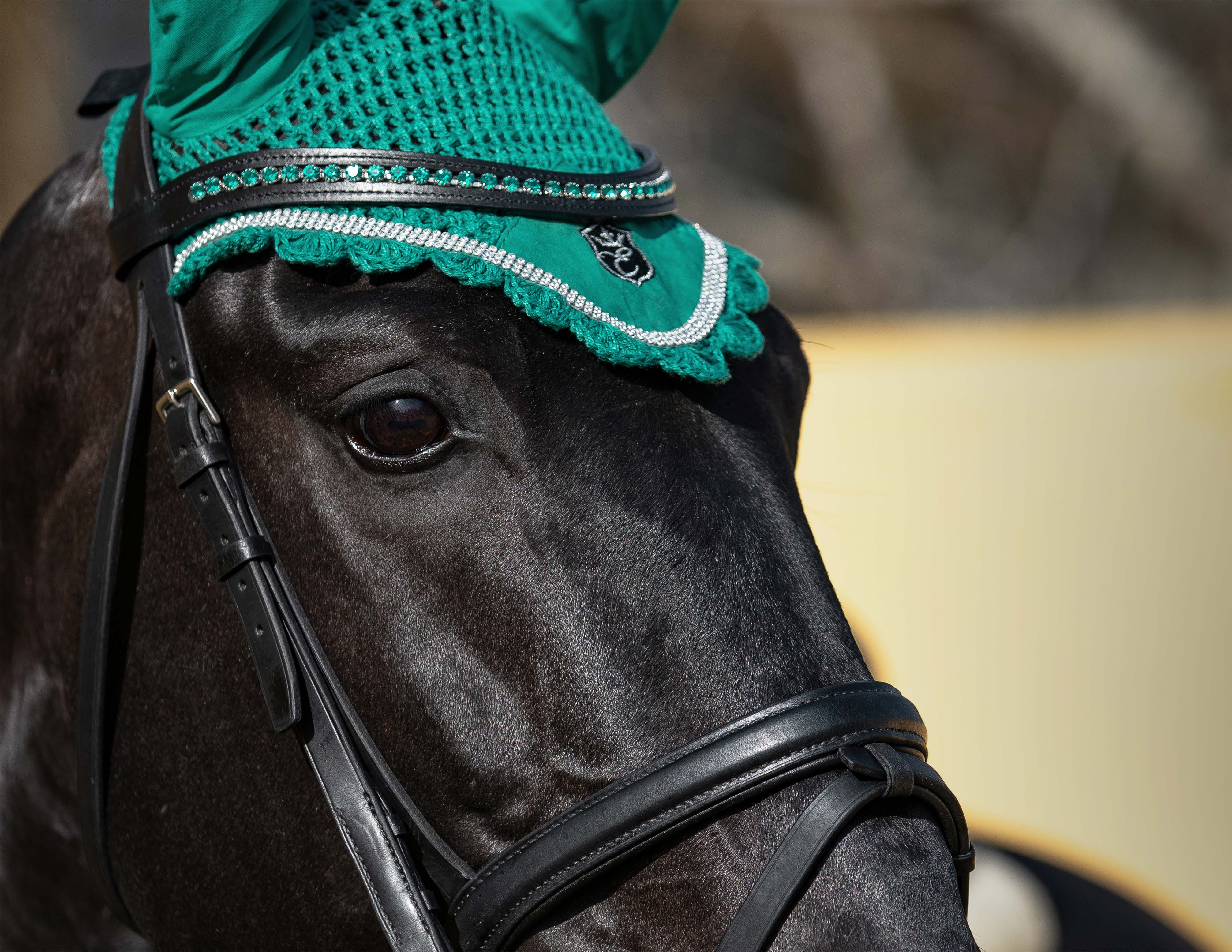 Teal Browband - Equine Exchange Tack Shop