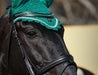 Teal Browband - Equine Exchange Tack Shop