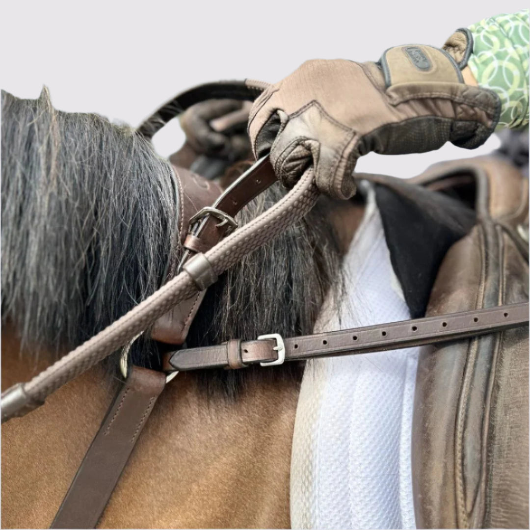 3-Point Breastplate with Double Neck Strap - Equine Exchange Tack Shop