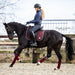 Burgundy Polo Wraps - Equine Exchange Tack Shop