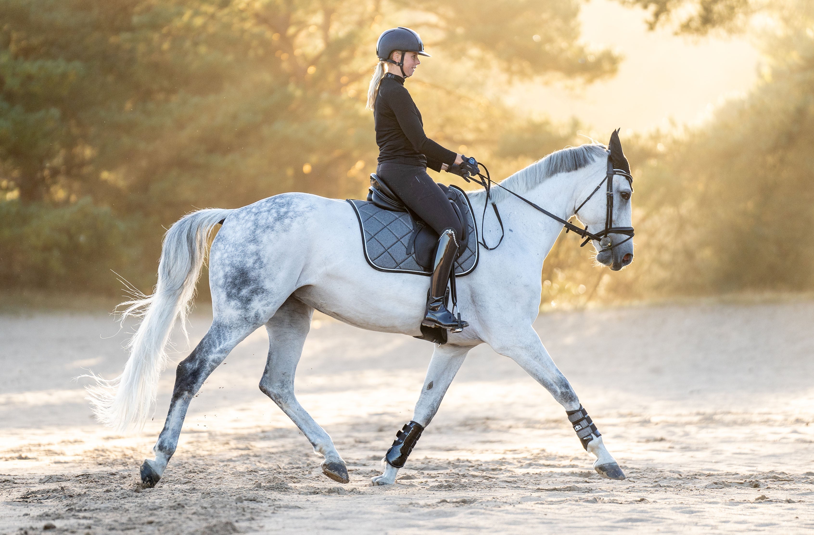 Stardust Grey Saddle Pad - Equine Exchange Tack Shop