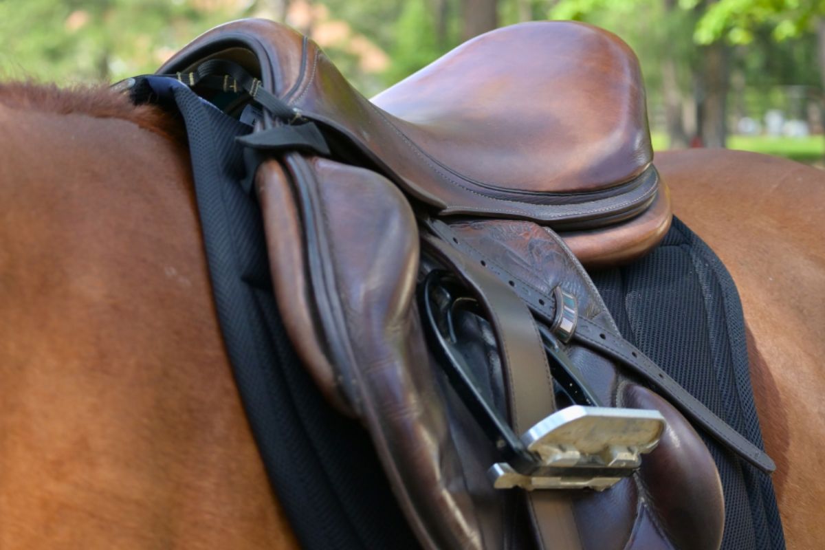 Contour Jump Mesh Saddle Pad with Quick Dry Cotton Lining in Navy, White or Black - Equine Exchange Tack Shop