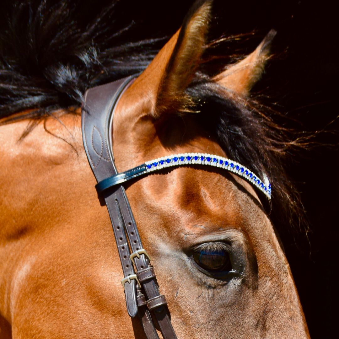 Blue Astra Browband - Equine Exchange Tack Shop