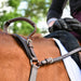 3-Point Breastplate with Double Neck Strap - Equine Exchange Tack Shop