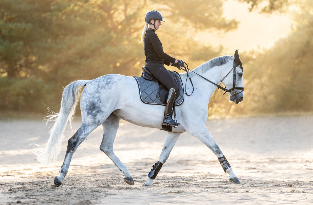 Stardust Grey Brushing Boots - Equine Exchange Tack Shop