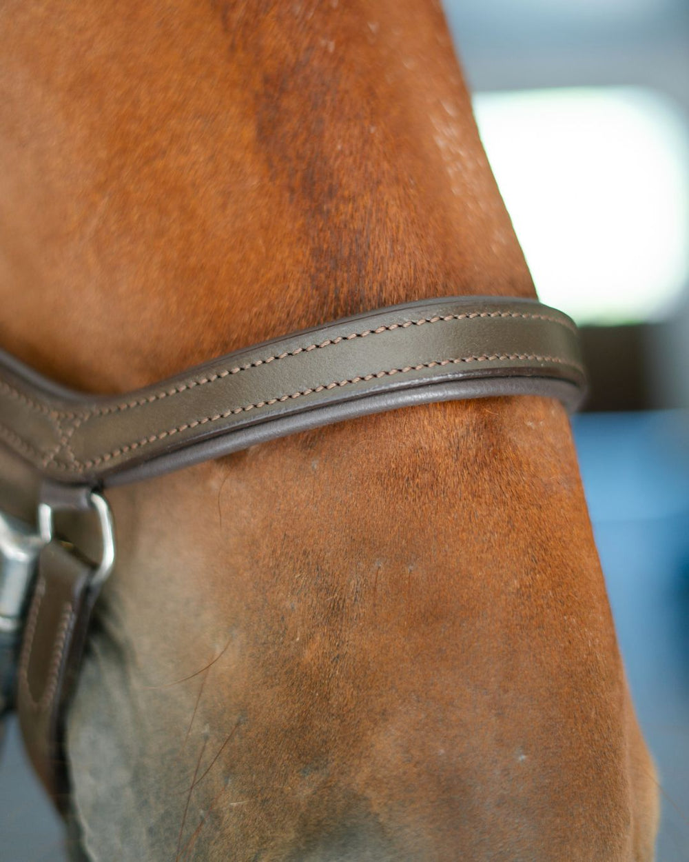 Hidden Flash!  Pro-Fit Comfortable Bridle - Equine Exchange Tack Shop