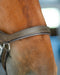 Hidden Flash!  Pro-Fit Comfortable Bridle - Equine Exchange Tack Shop