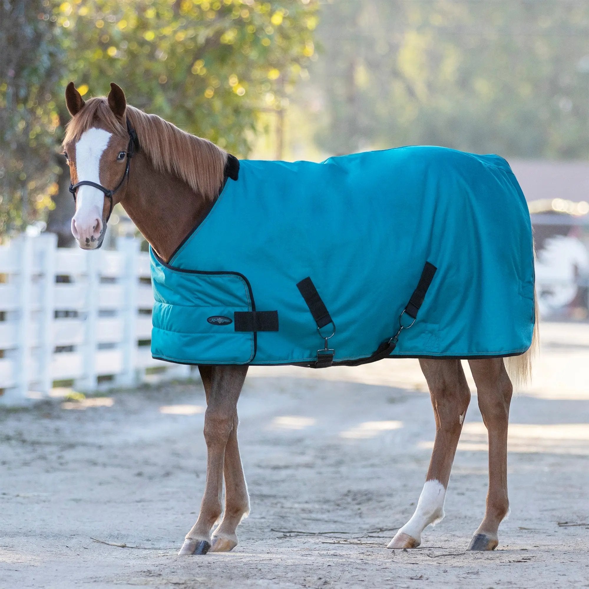 1200D 180G Medium Weight Waterproof & Breathable Adjustable Yearling Winter Turnout Blanket - Equine Exchange Tack Shop