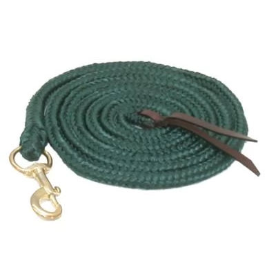 Nylon 10ft Cowboy Lead