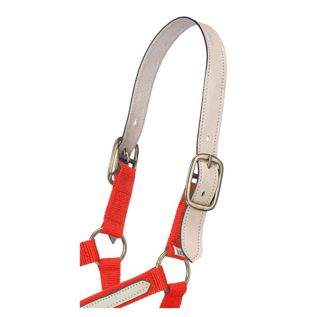 Tough1 Double Ply Leather Crown Replacement Strap - Equine Exchange Tack Shop