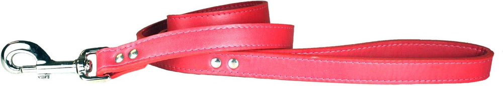 Signature Leather 4ft Dog Leash - Equine Exchange Tack Shop