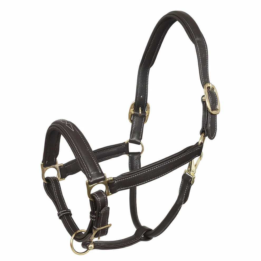 Henri de Rivel Laureate FS Leather Halter - Equine Exchange Tack Shop
