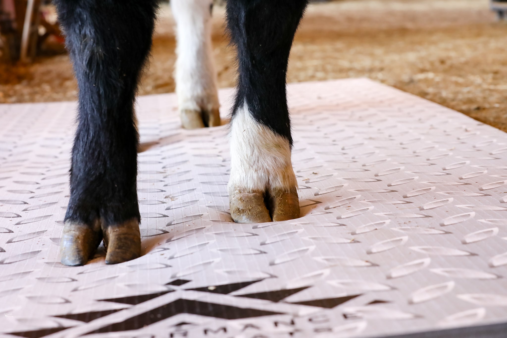 5x10ft Diamond Plate Print Mat  