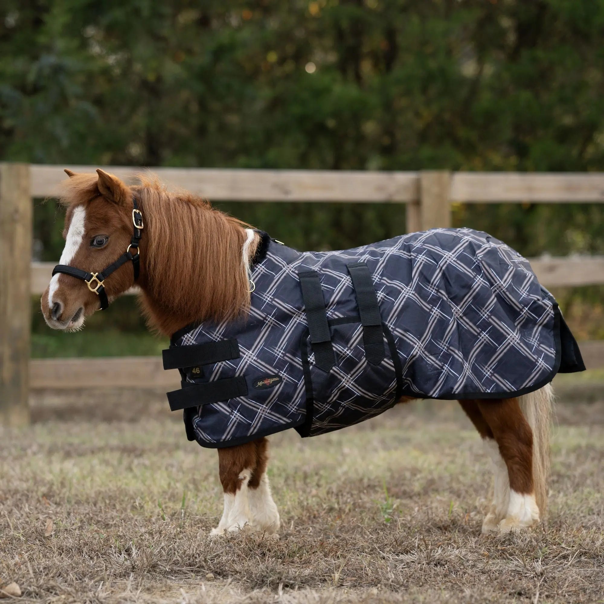 1200D 80G Waterproof Breathable MINI Turnout Blanket - Equine Exchange Tack Shop