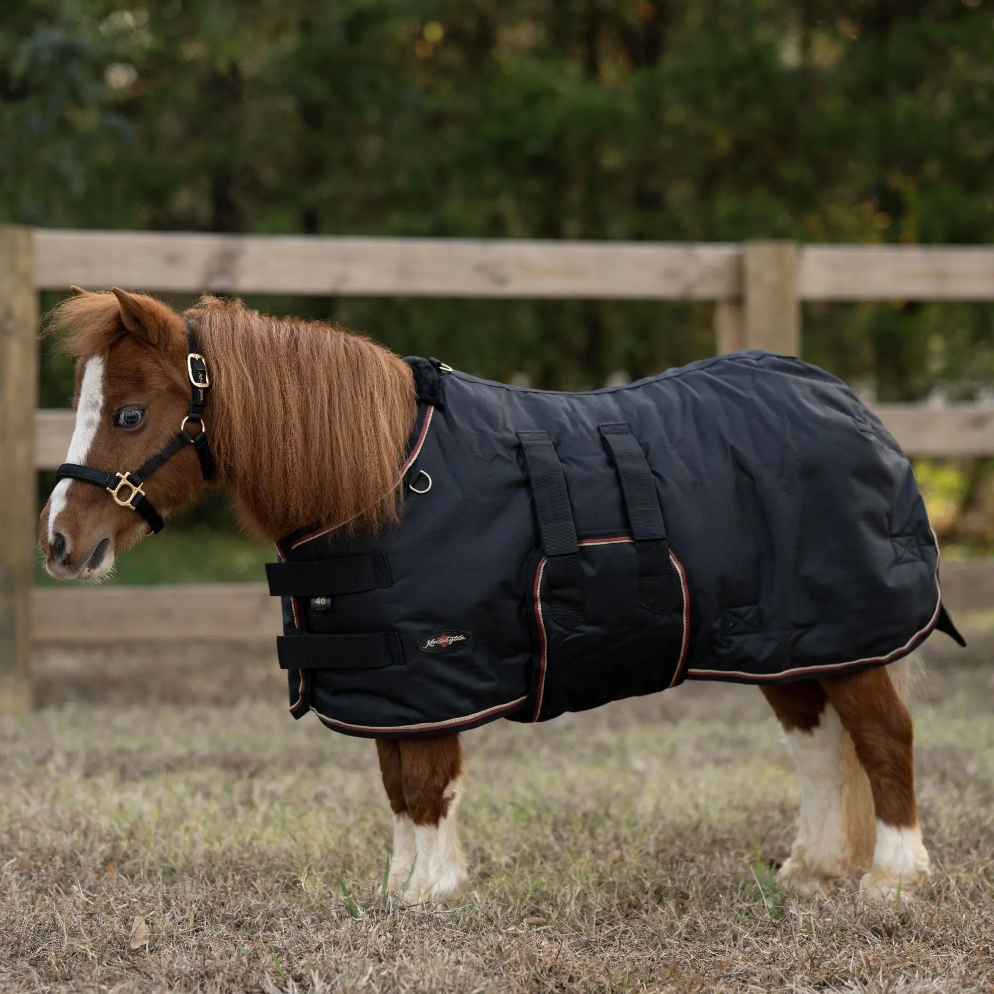 1200D 80G Waterproof Breathable MINI Turnout Blanket - Equine Exchange Tack Shop