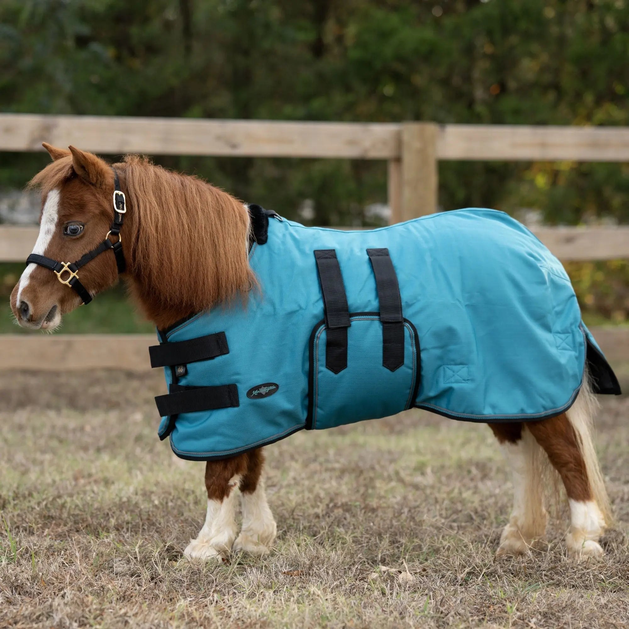 1200D 300G Heavy Weight Waterproof & Breathable Winter Mini Turnout Blanket - Equine Exchange Tack Shop