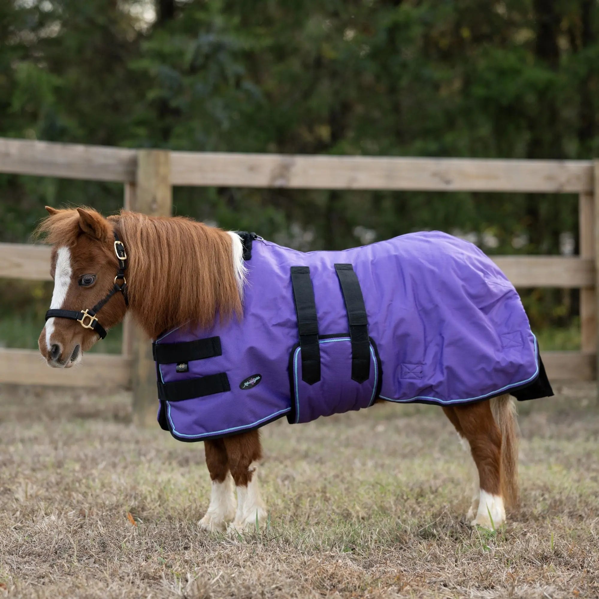 1200D 180G Medium Weight Waterproof & Breathable Mini Winter Turnout Blanket - Equine Exchange Tack Shop