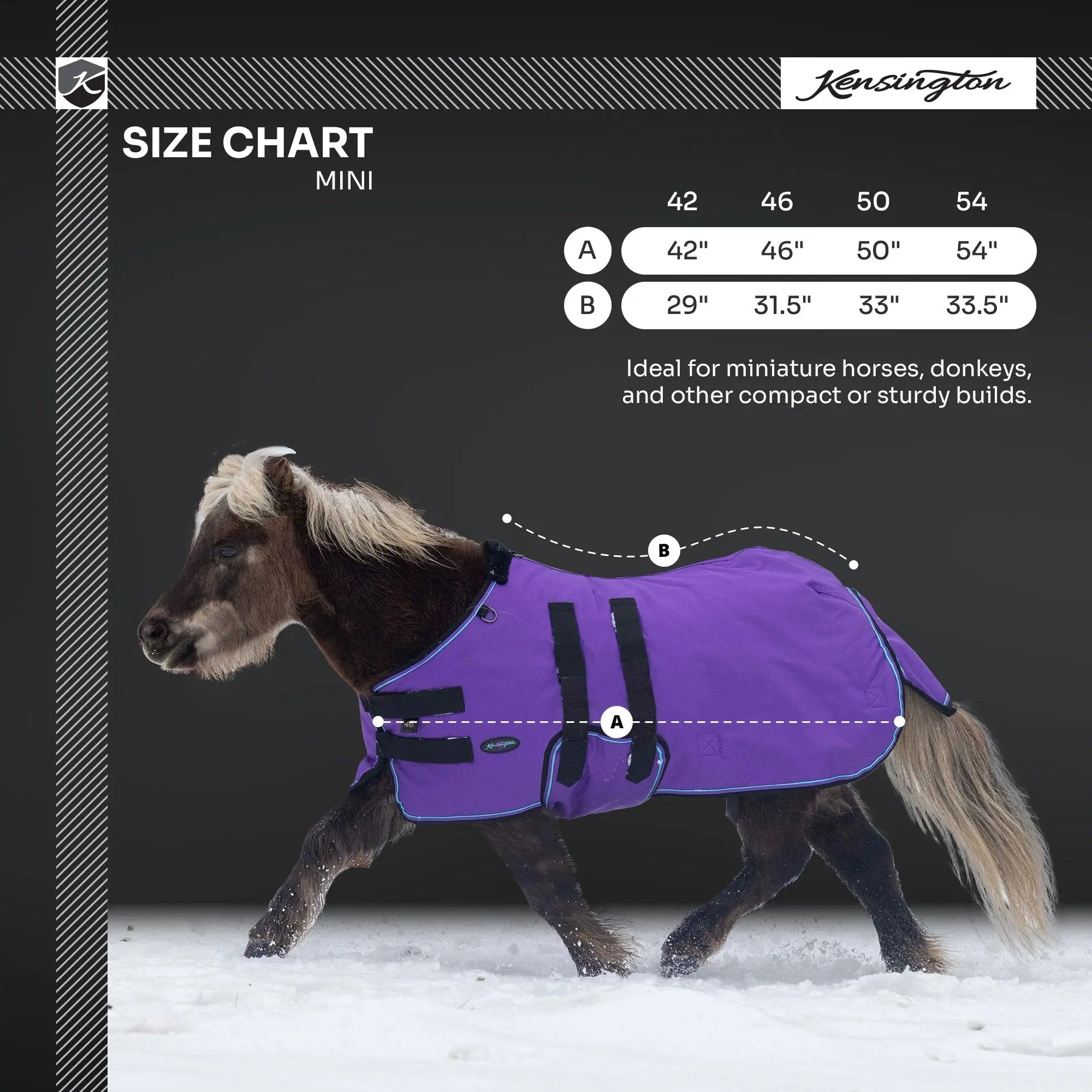 1200D 300G Heavy Weight Waterproof & Breathable Winter Mini Turnout Blanket - Equine Exchange Tack Shop